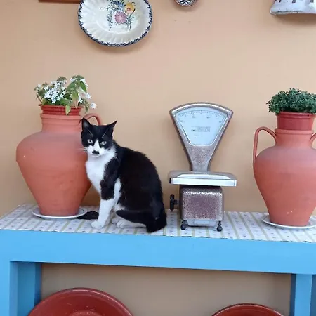 A Casa Da Ti Laura - Al * أفيرو