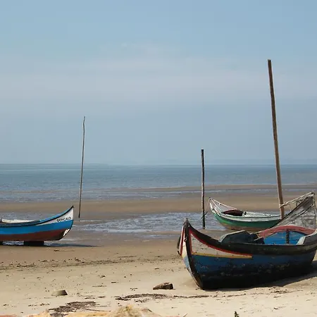 A Casa Da Ti Laura - Al Aveiro